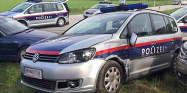 Autodieb nach irrer Jagd gestellt