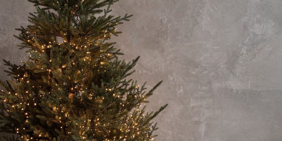 Früher oder später - Wann sollte man am besten den Christbaum kaufen?