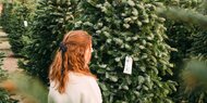 Wann sollte man am besten den Christbaum kaufen? 