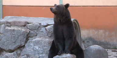 Tod B&auml;renwald 2.PNG