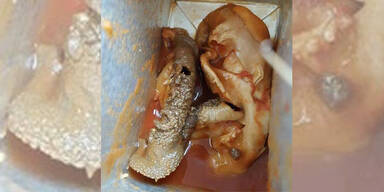 Frau findet F&ouml;tus in Aldi-Tomatensaft