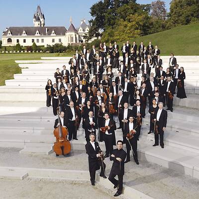 Sandra Cervik, Josefstadt-Schauspielerin
