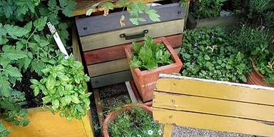 Tont&ouml;pfe k&ouml;nnen bei K&auml;lte leicht zerspringen