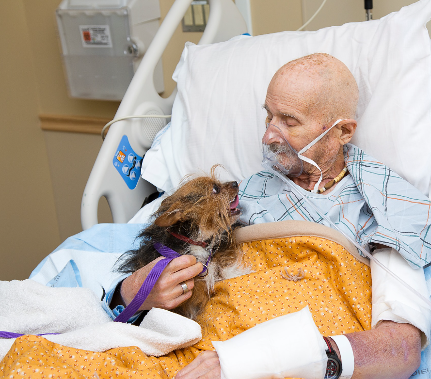 Albuquerque Animal Welfare/Facebook