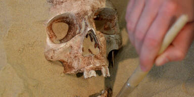 Burgenländer hortete Totenköpfe