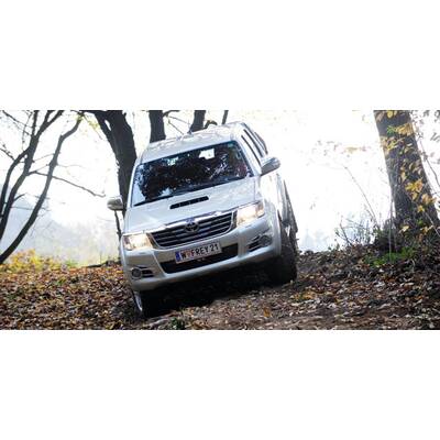 Sportwagen des Jahres