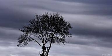 Tr&uuml;be Gedanken oft grau eingef&auml;rbt