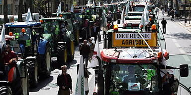 Traktorenreihen im Zentrum der Metropole