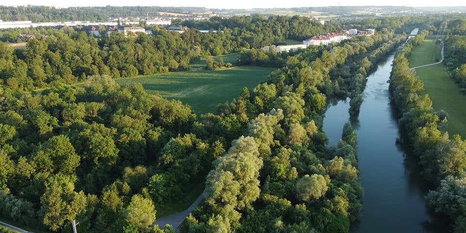 Traunauen Ostumfahrung