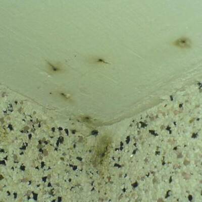 Die schmutzigsten Hotels