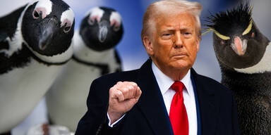 Trump Pinguine