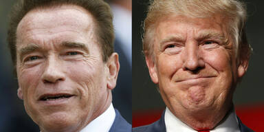 Totale Eskalation: Arnie vergleicht Trump mit Stinktier