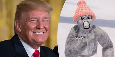 Kinder nutzen Trump um Alters-Sperre für Videospiel zu umgehen