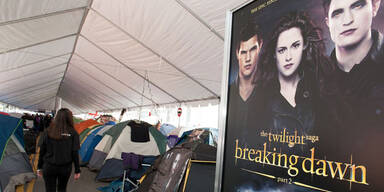 Twilight - Breaking Dawn 2 - Fans