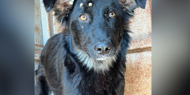 Uberschwemmungen Ukraine yt.PNG