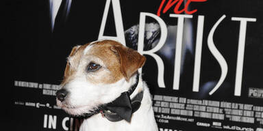 The Artist Hund Uggie