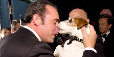 Uggie und Jean Dujardin