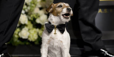 Uggie