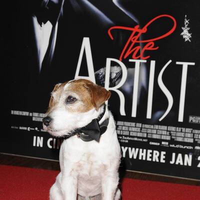 Rihanna - Queen of Downloads