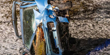 Alkolenker "f&auml;llte" Baum