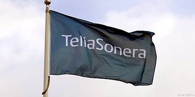 Umsatz konnte stabil gehalten werden