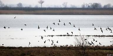 Umweltschutz &uuml;ber die Grenzen hinweg