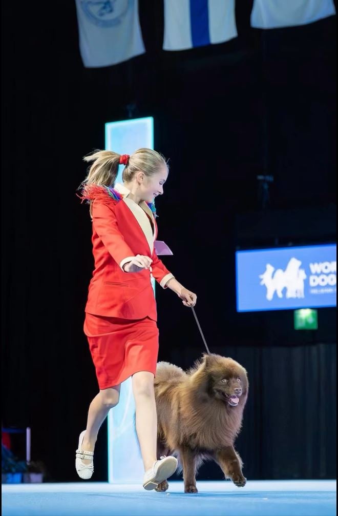Großspitz aus NÖ siegt bei World Dog Show in Helsinki