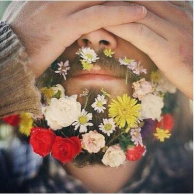 Flowerbeards