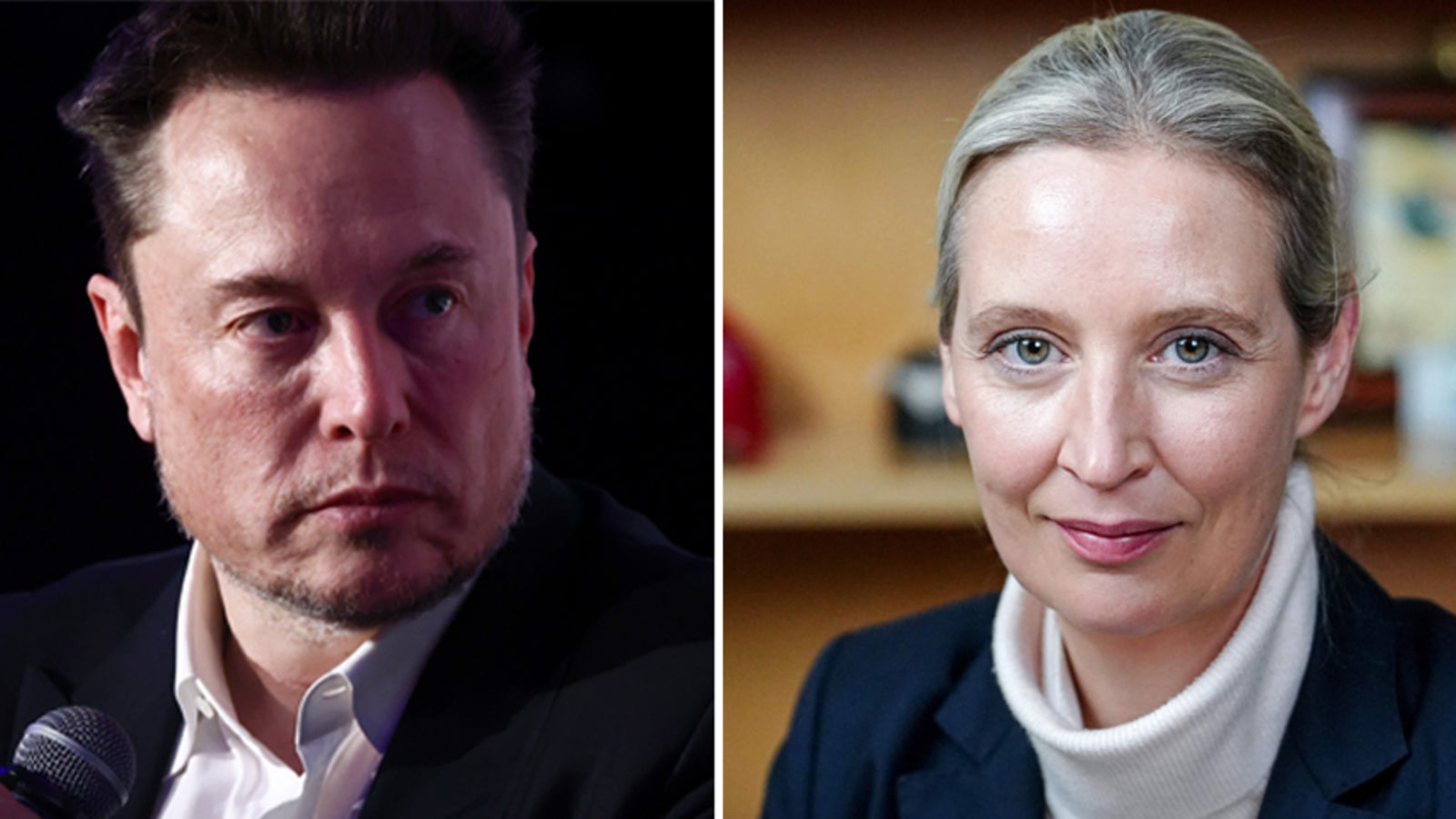 Weidel im Talk mit Musk: "Hitler war ein Kommunist"