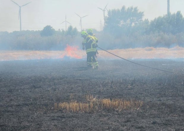 Rekord-Hitze grillt das Land