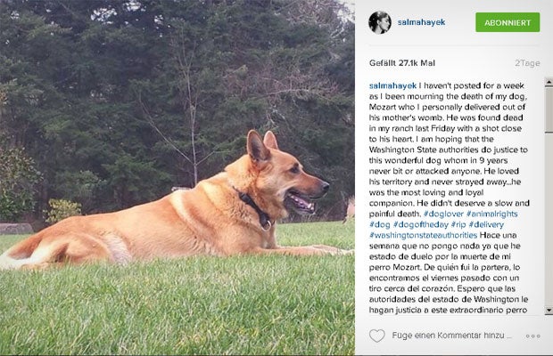 Salma Hayek trauert um ihren Hund