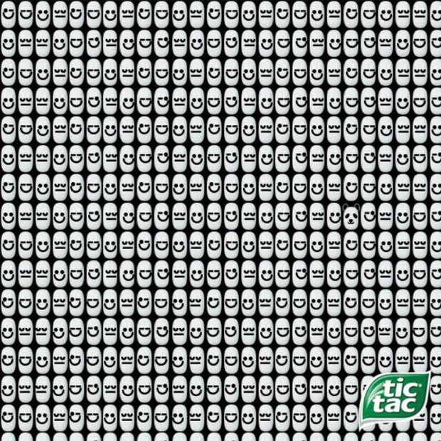 Rätsel: Wo versteckt sich hier ein Panda?