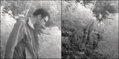 Verd&auml;chtige ("Zwei Drogen-Farmer tappten in Fotofalle")