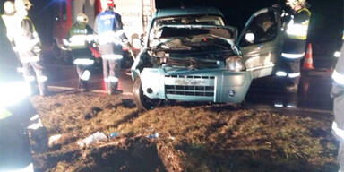 Alkolenker entwurzelte Baum bei B50