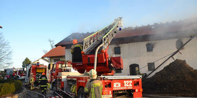 16 Stiere tot bei Brand auf Bauernhof