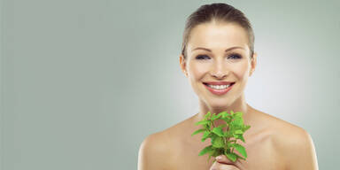 Minze kurbelt Fettverbrennung an & gibt Power