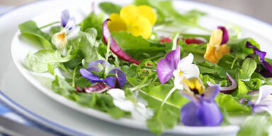 Diese Bl&uuml;ten sind essbar