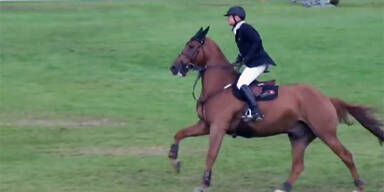 Diebe schlachten Springpferd