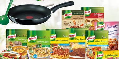Knorr