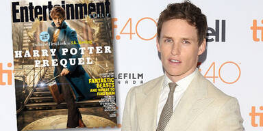 Eddie Redmayne, Harry Potter