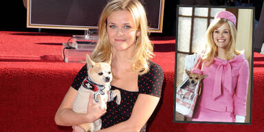 Reese Witherspoon und Hund Moonie in "Nat&uuml;rlich Blond"