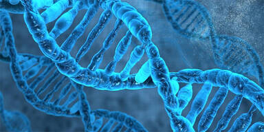 Sensation: Forscher entdecken Leben nach dem Tod