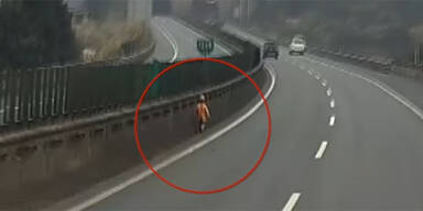 Bub spaziert auf Autobahn