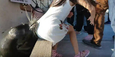 Seel&ouml;we rei&szlig;t kleines M&auml;dchen in die Tiefe