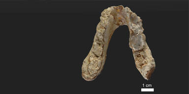 Diese Entdeckung k&ouml;nnte die Menschheitsgeschichte komplett ver&auml;ndern