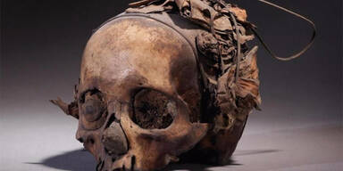 Dorotheum versteigert Totensch&auml;del doch nicht