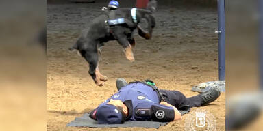 Netz flippt aus: Hund "Poncho" macht Herzdruckmassage