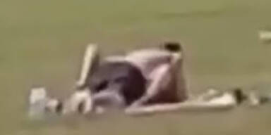 Paar hat Sex im Park &ndash; dann passiert DAS