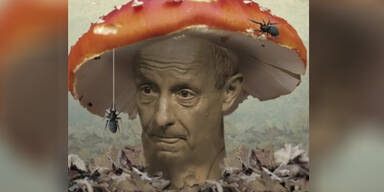 Liste Pilz Gr&uuml;ne Giftpilz