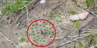 Sensation: Video zeigt v&ouml;llig isolierten Stamm